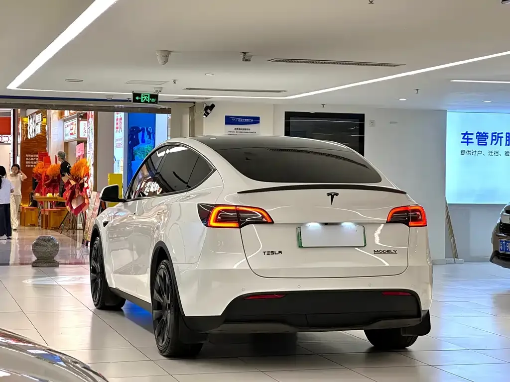 Tesla Model Y — фото 6