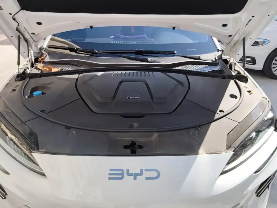 BYD PLUS New Energy — фото 10