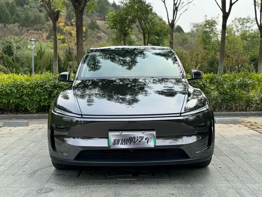 Tesla Model Y — фото 5