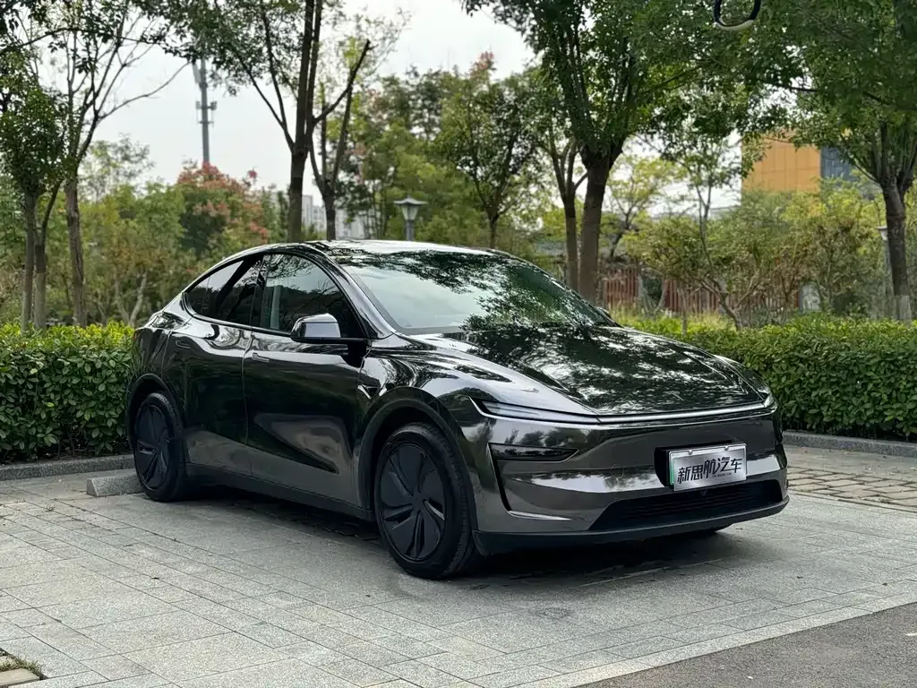 Tesla Model Y — фото 10