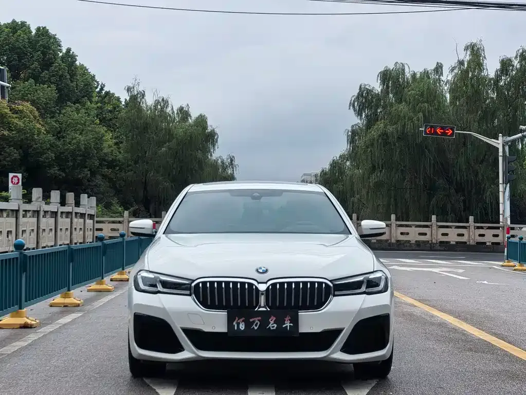 BMW 5 Series (Import) — фото 9