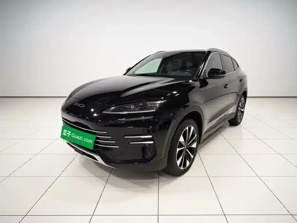 BYD PLUS New Energy — фото 1