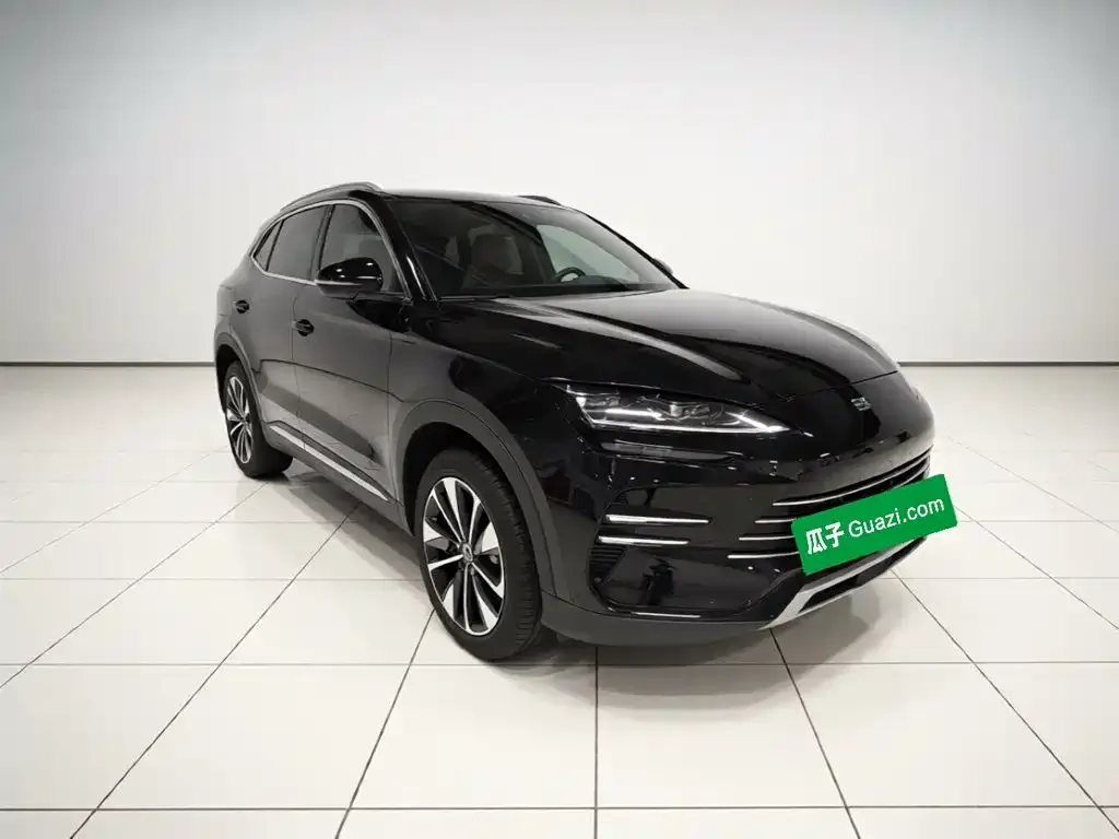 BYD PLUS New Energy — фото 7