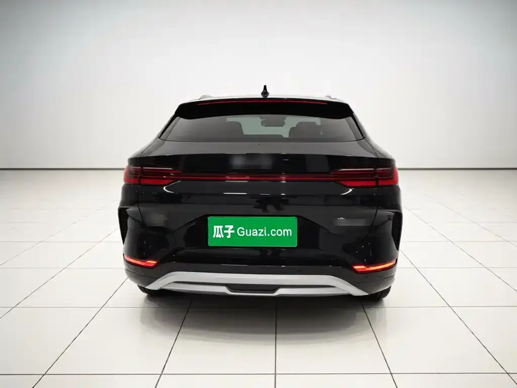 BYD PLUS New Energy — фото 8