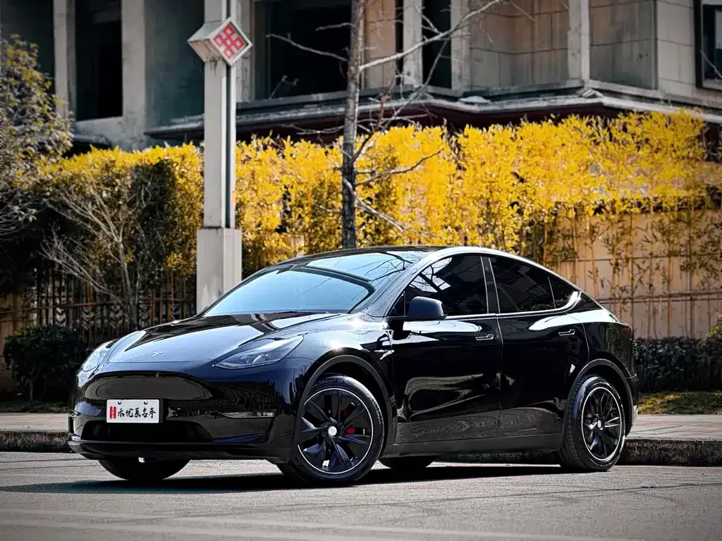 Tesla Model Y — фото 1