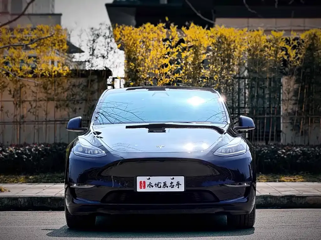 Tesla Model Y — фото 6