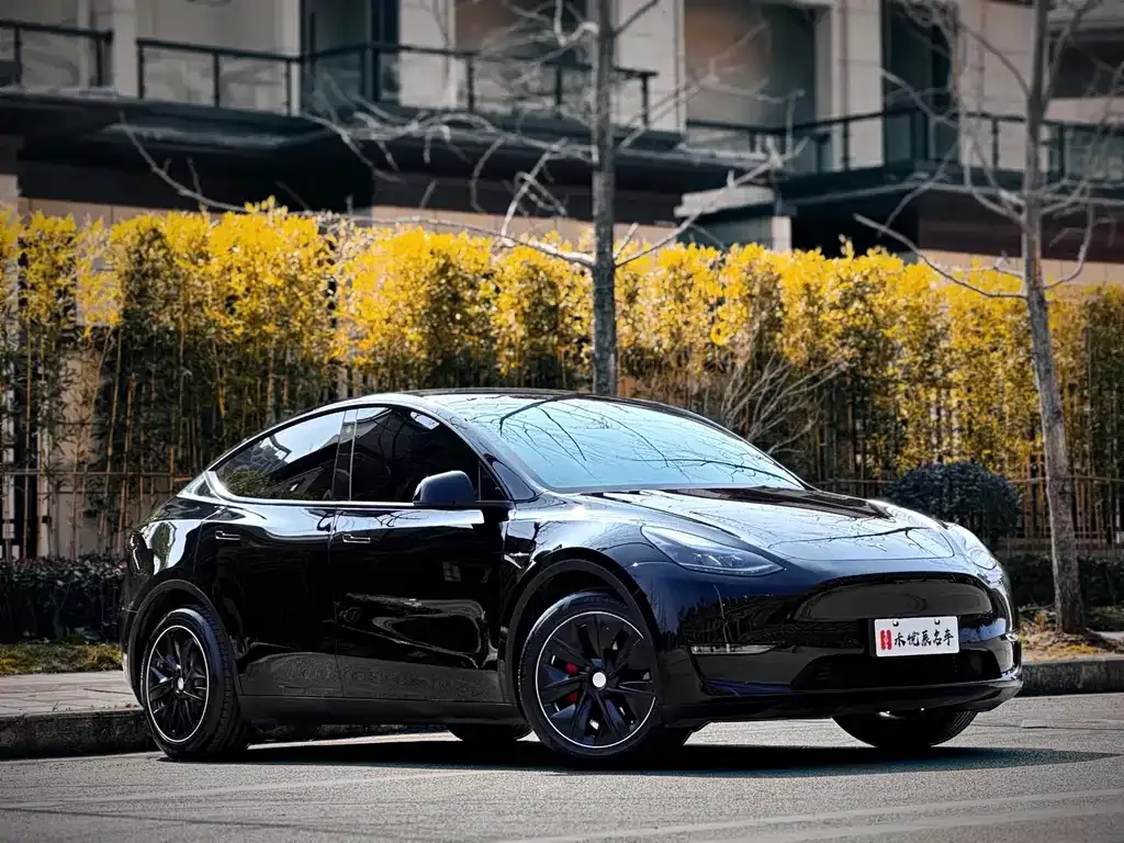 Tesla Model Y — фото 10