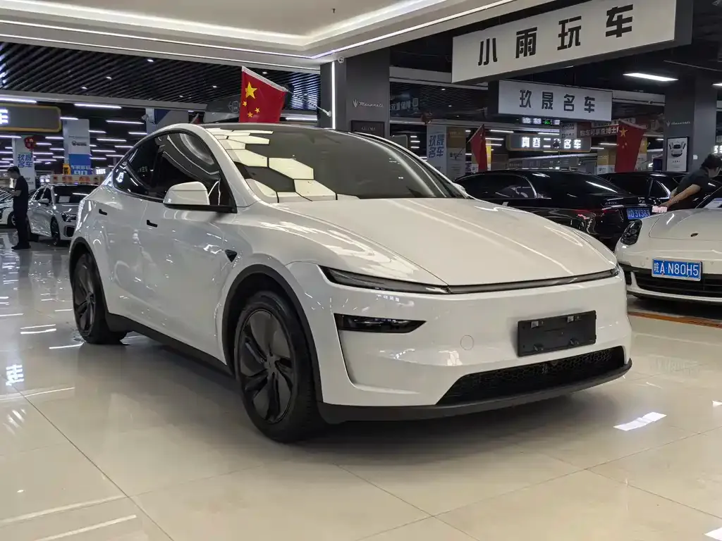 Tesla Model Y — фото 9