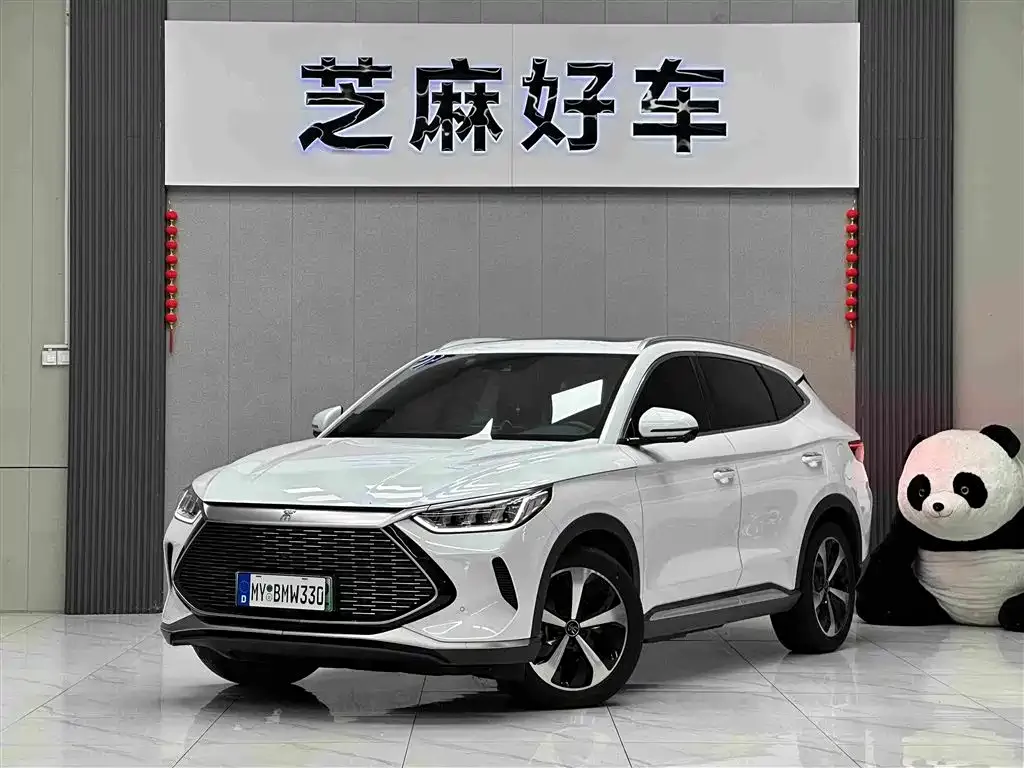 BYD PLUS New Energy — фото 1