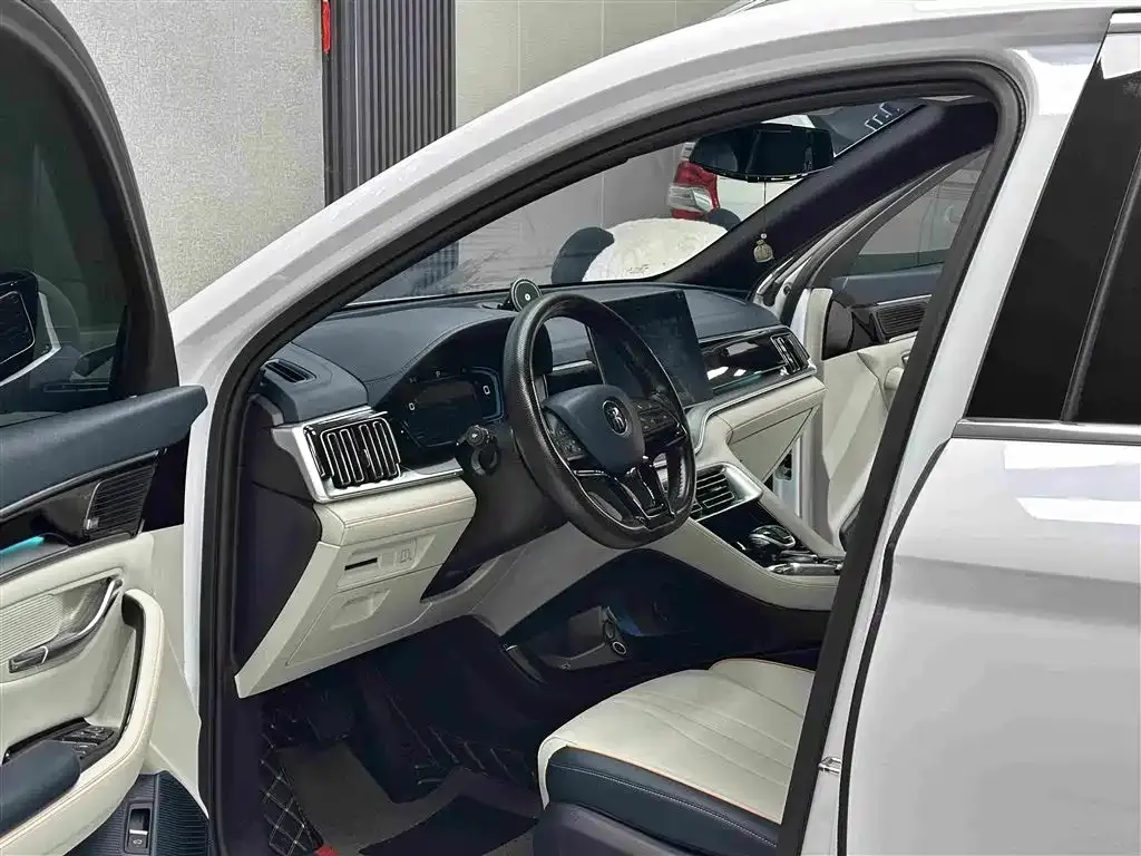 BYD PLUS New Energy — фото 4