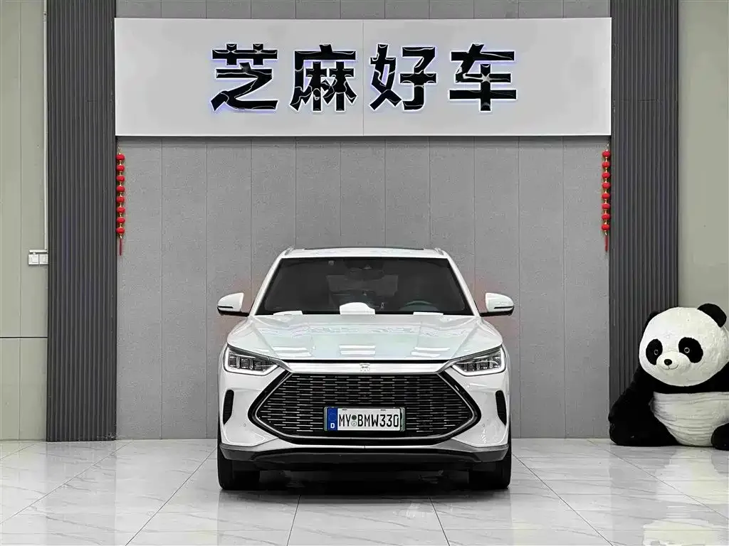 BYD PLUS New Energy — фото 3