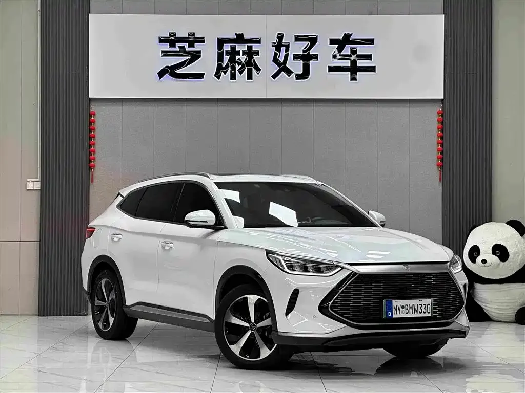 BYD PLUS New Energy — фото 6