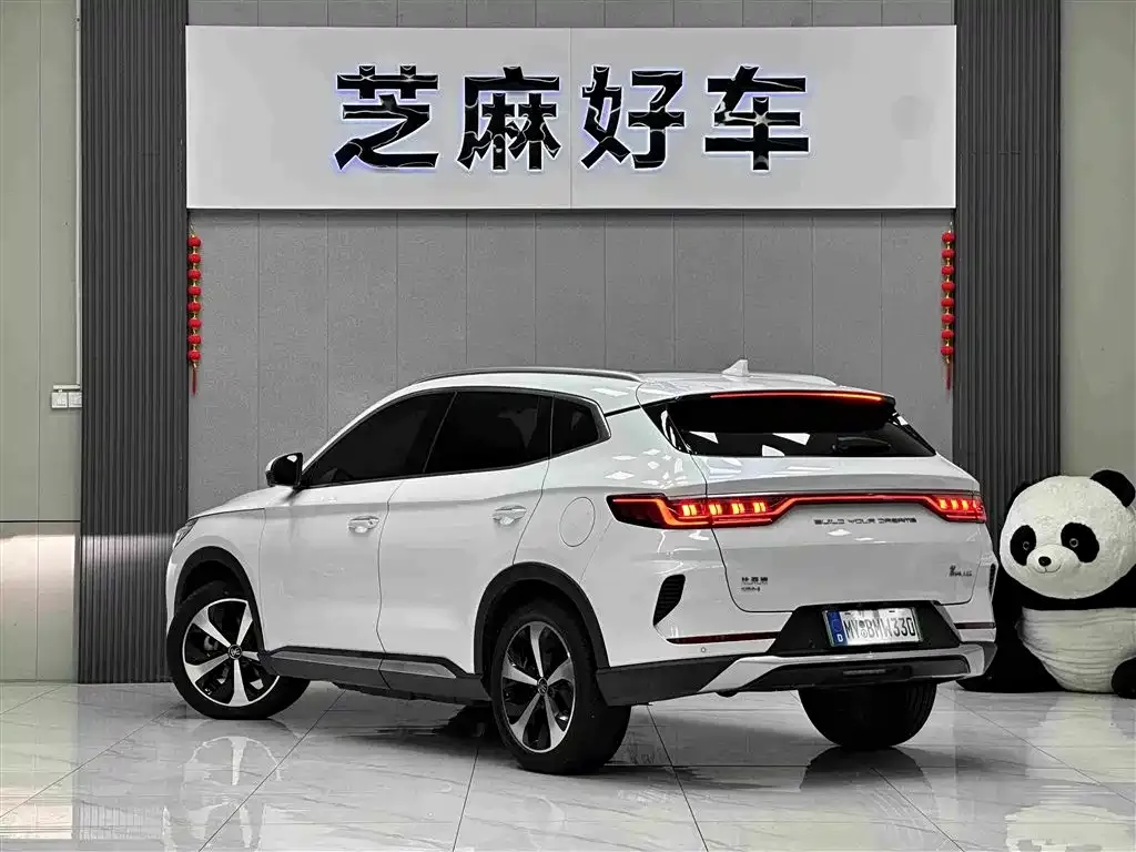 BYD PLUS New Energy — фото 9