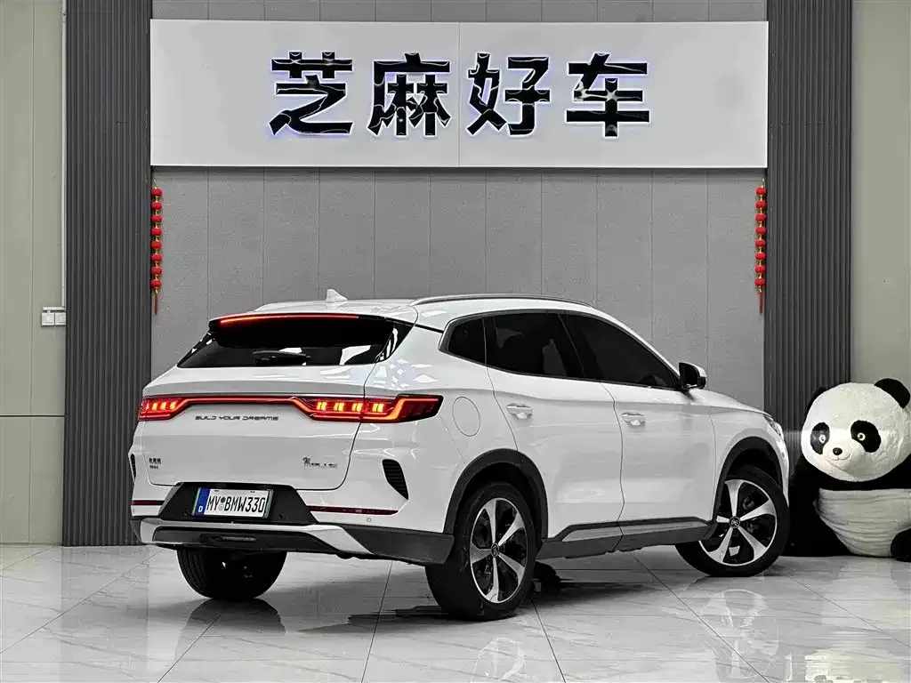 BYD PLUS New Energy — фото 8