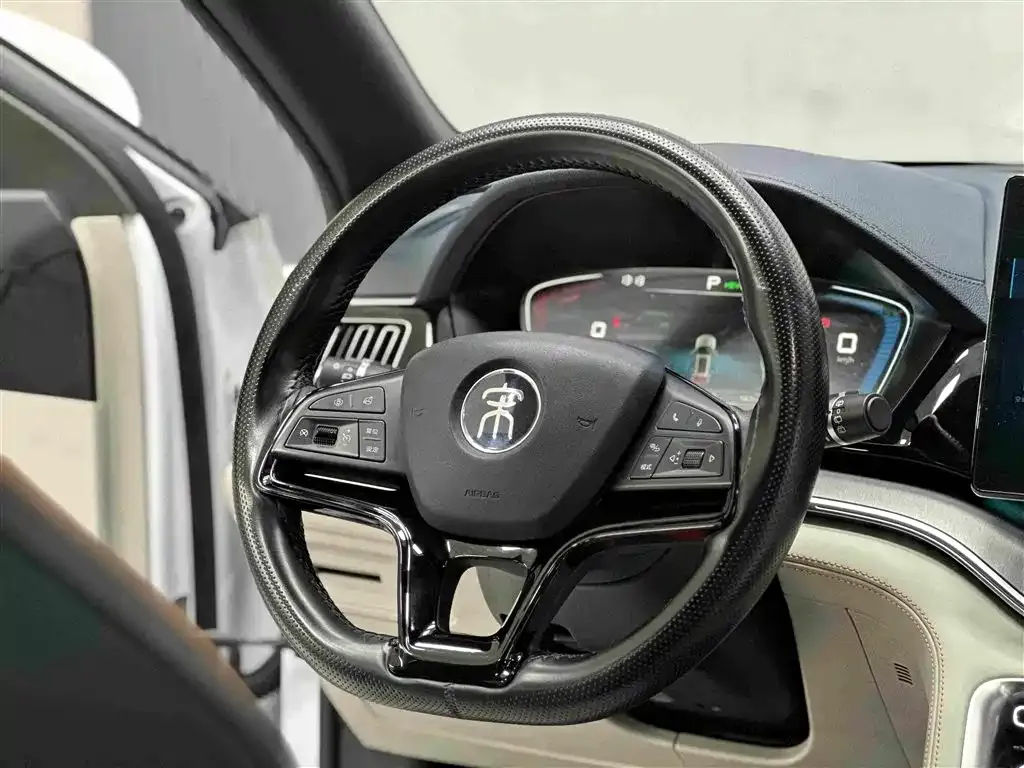 BYD PLUS New Energy — фото 10