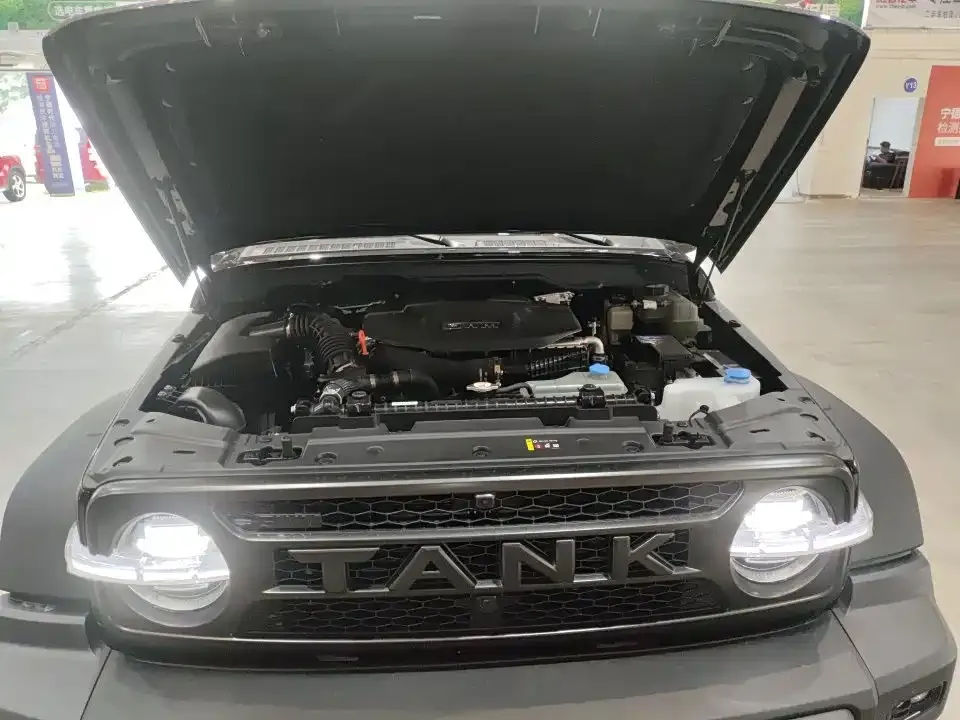 Tank Tank 300L New Energy — фото 10