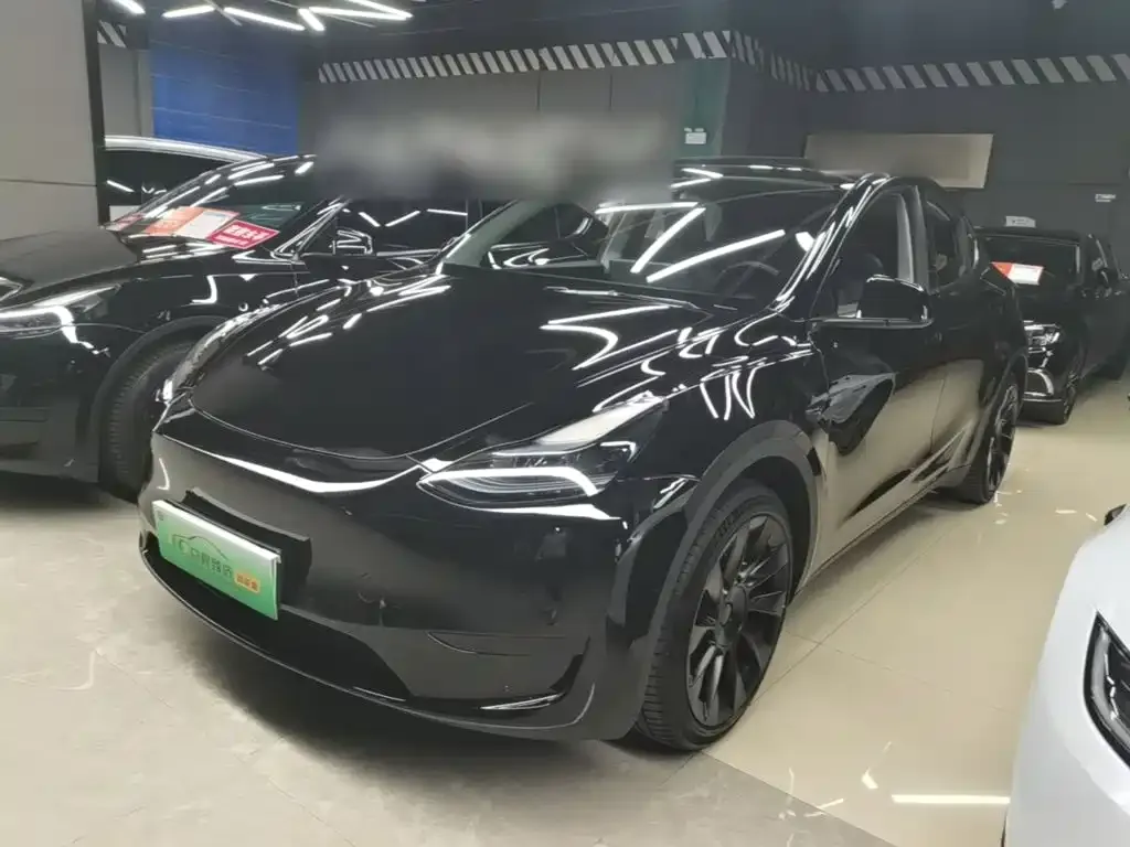 Tesla Model Y — фото 9