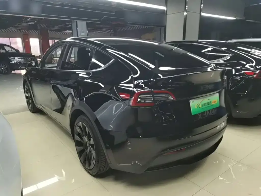 Tesla Model Y — фото 10