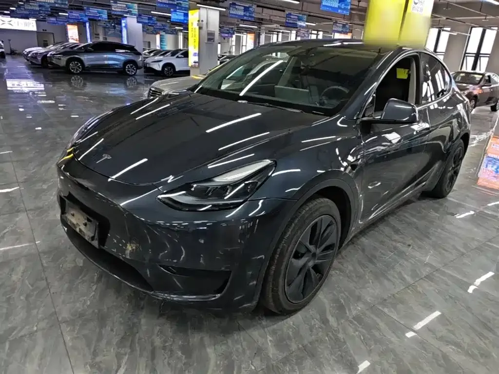 Tesla Model Y — фото 1