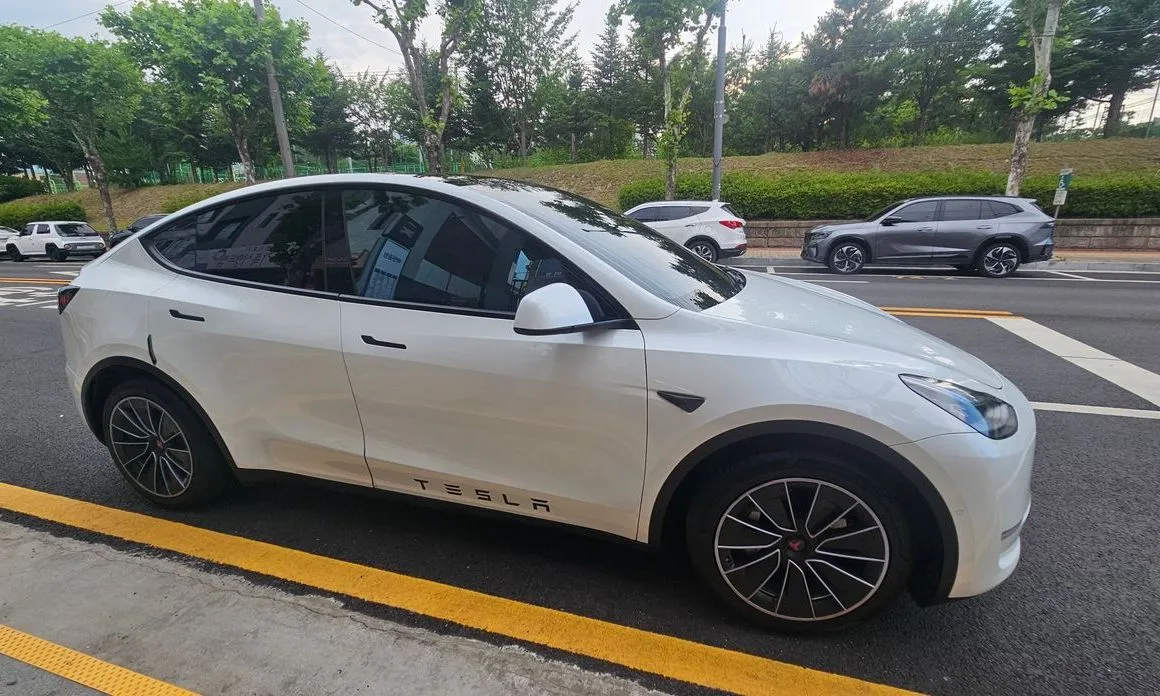 Tesla Model Y — фото 10