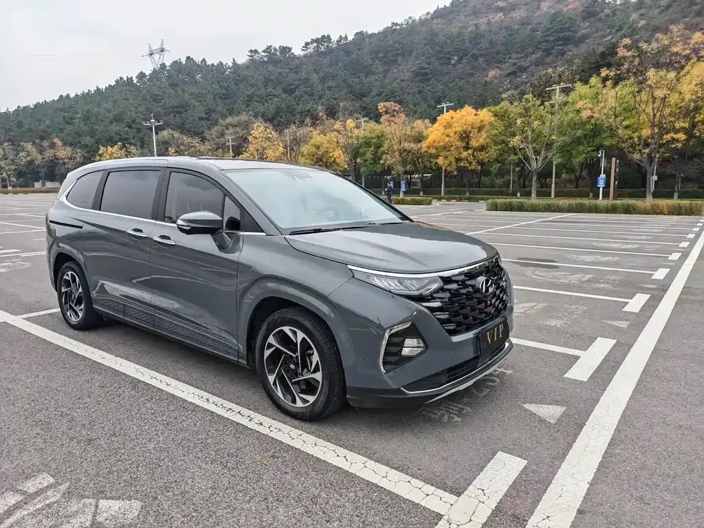 Hyundai Custo — фото 8