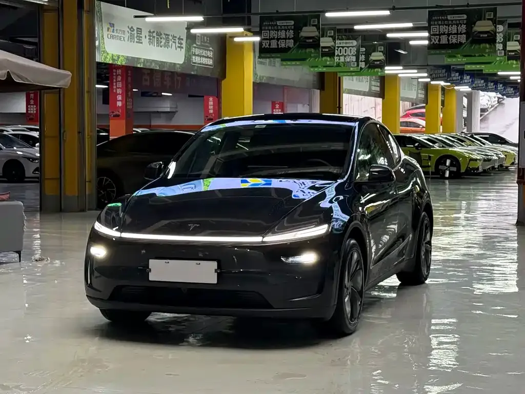 Tesla Model Y — фото 1