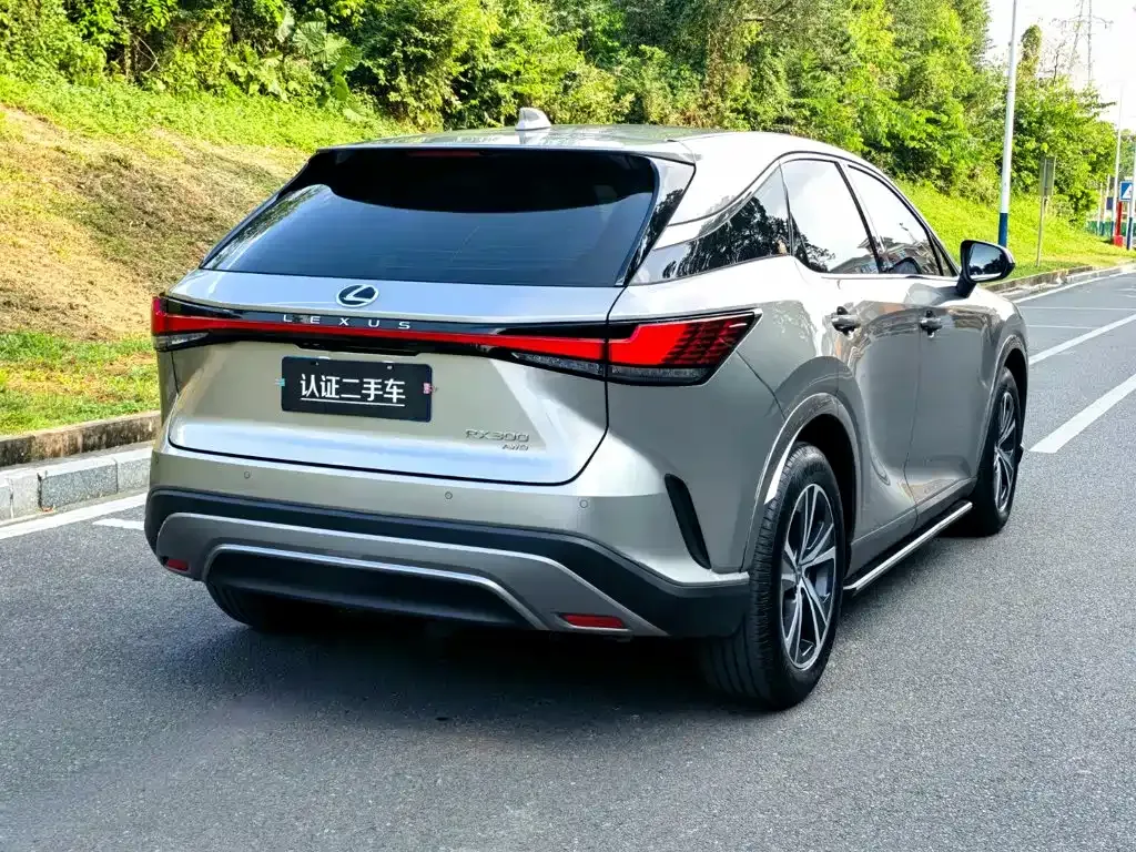 Lexus RX — фото 10