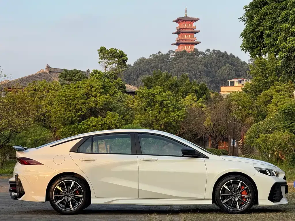 GAC Motor Shadow Leopard — фото 10