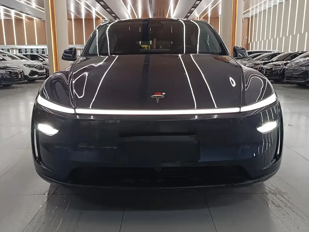 Tesla Model Y — фото 9