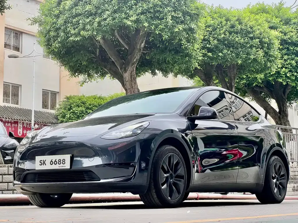 Tesla Model Y — фото 1