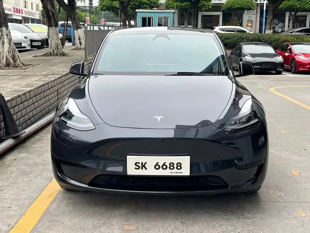 Tesla Model Y — фото 7