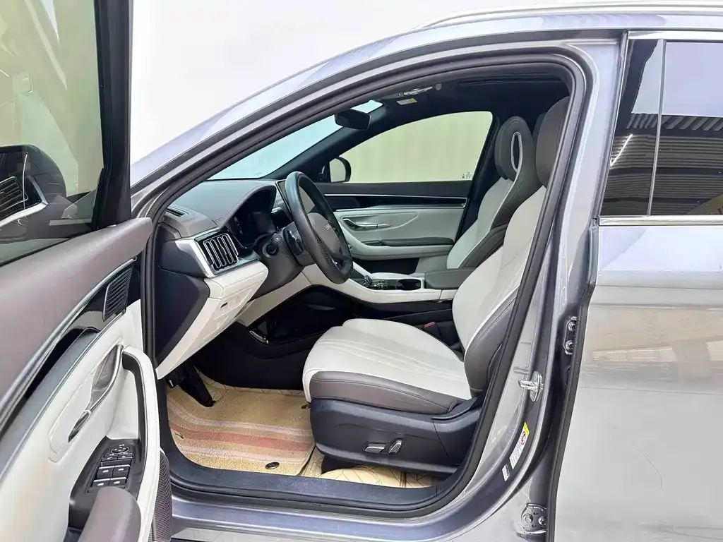 BYD PLUS New Energy — фото 10