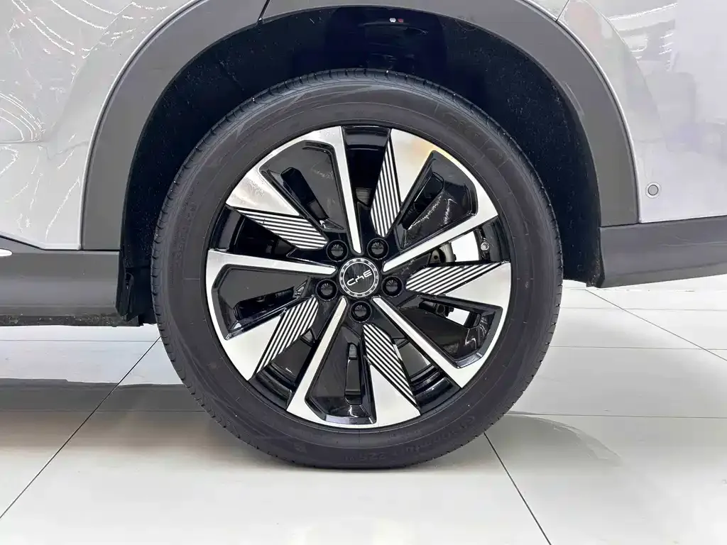 BYD PLUS New Energy — фото 6