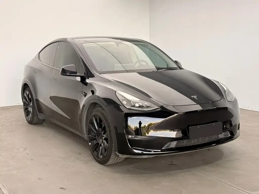 Tesla Model Y — фото 5