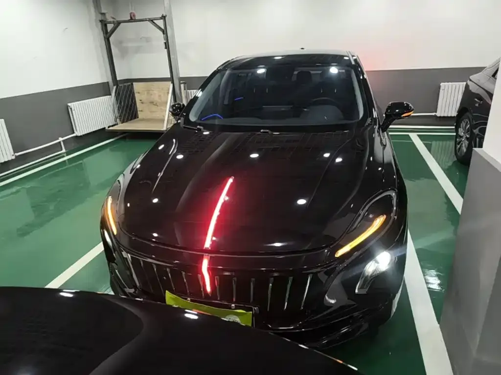 Hongqi E-QM5 — фото 9