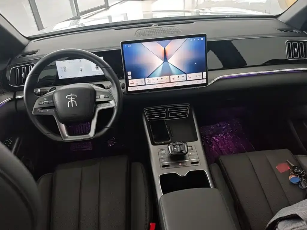 BYD Pro New Energy — фото 10