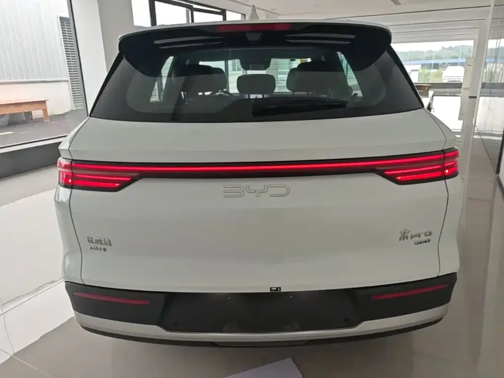 BYD Pro New Energy — фото 5