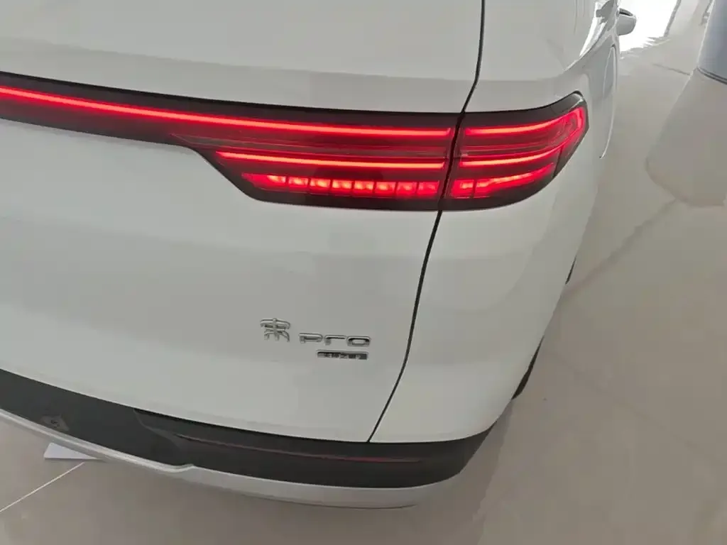 BYD Pro New Energy — фото 4