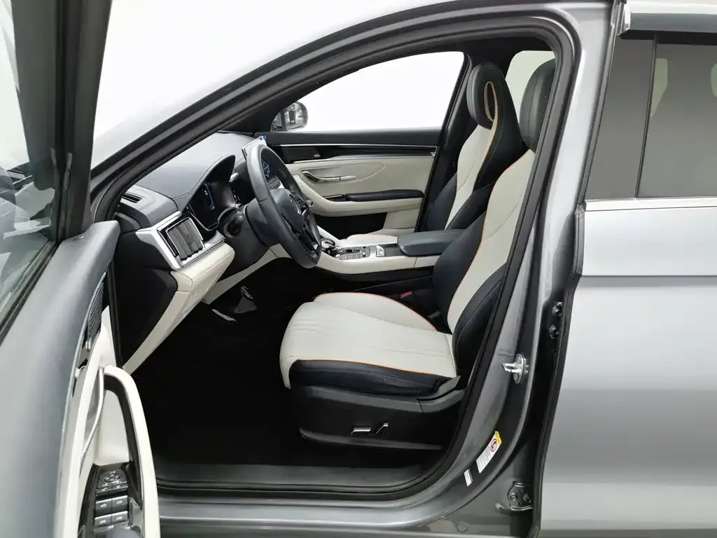 BYD PLUS New Energy — фото 8