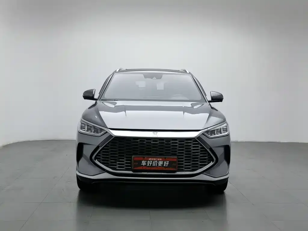 BYD PLUS New Energy — фото 2