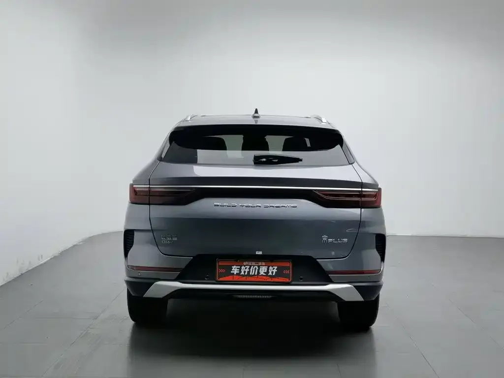 BYD PLUS New Energy — фото 6