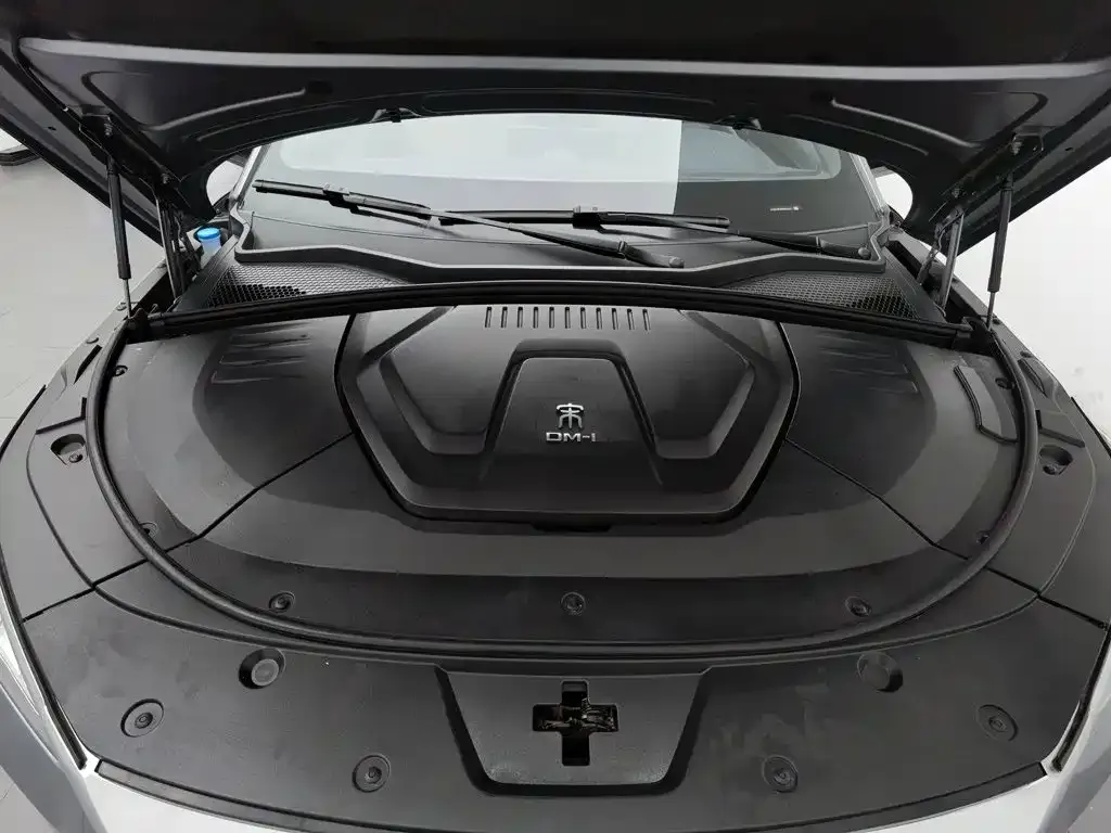 BYD PLUS New Energy — фото 9
