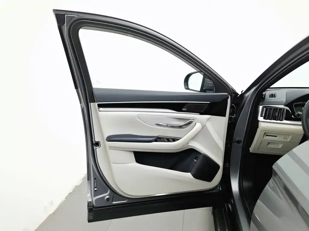 BYD PLUS New Energy — фото 3