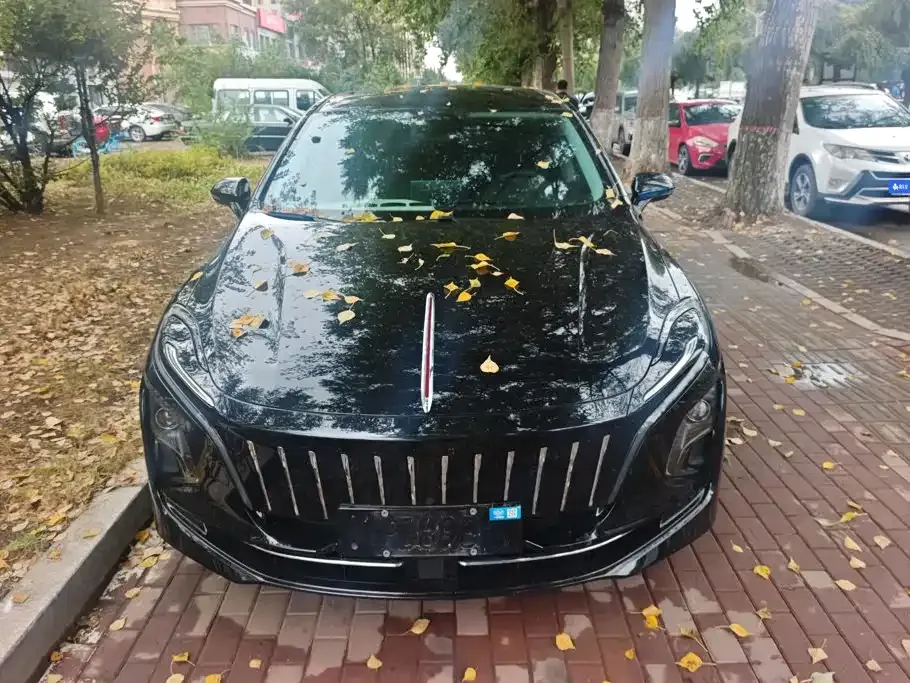 Hongqi E-QM5 — фото 10