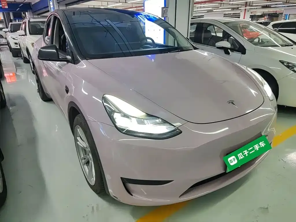 Tesla Model Y — фото 10