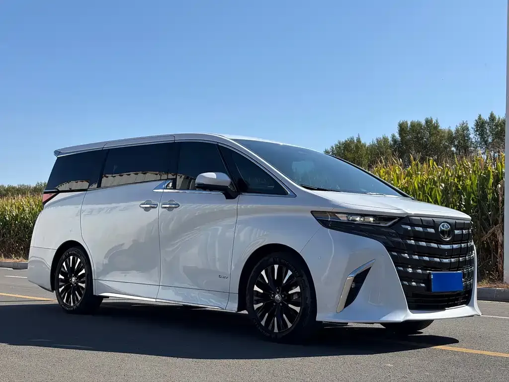 Toyota Alphard — фото 10