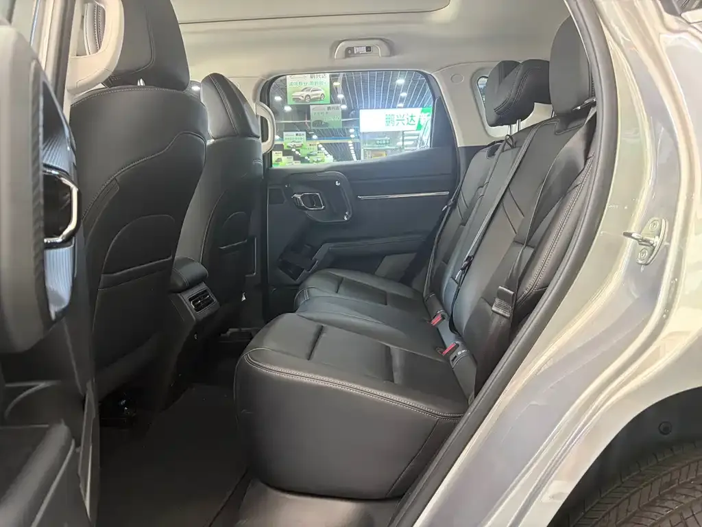 Haval Big Dog PLUS New Energy — фото 8