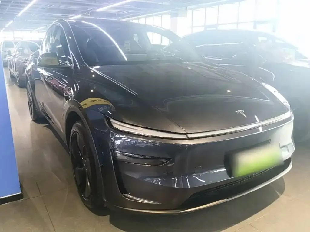 Tesla Model Y — фото 6