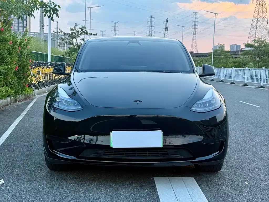 Tesla Model Y — фото 5