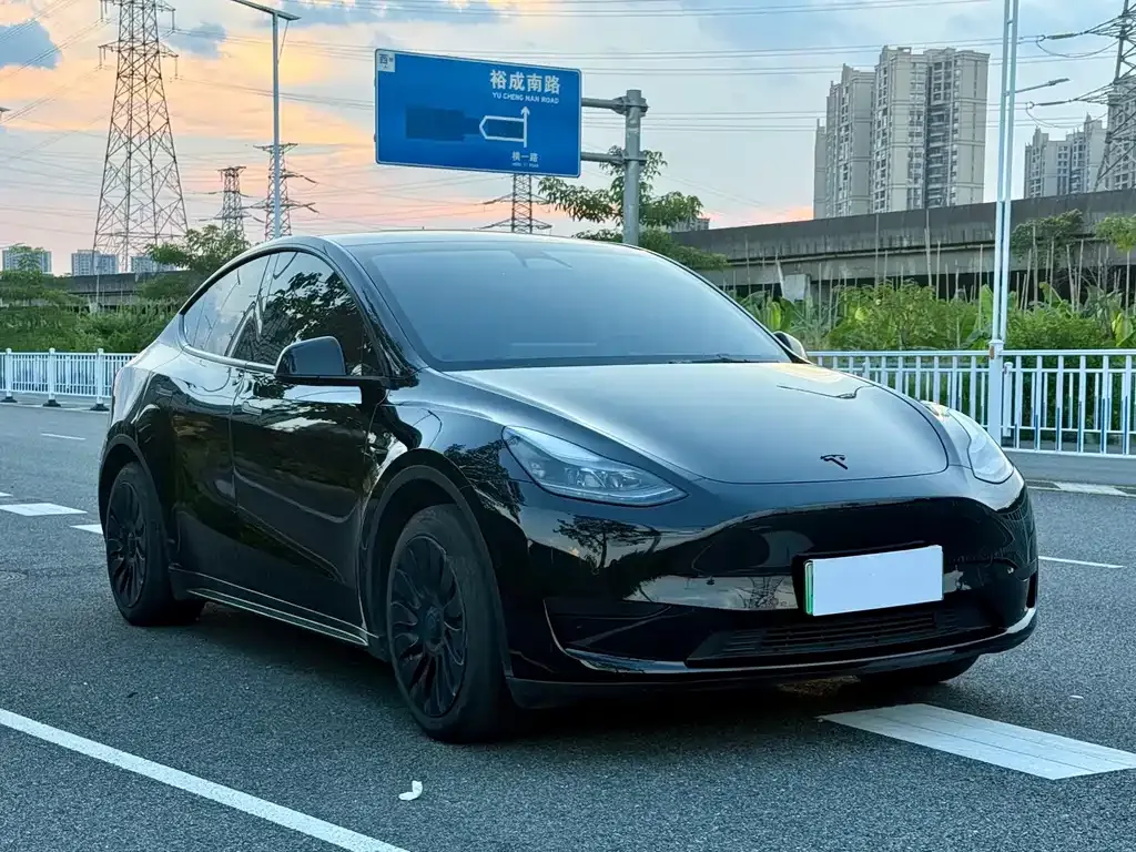 Tesla Model Y — фото 4